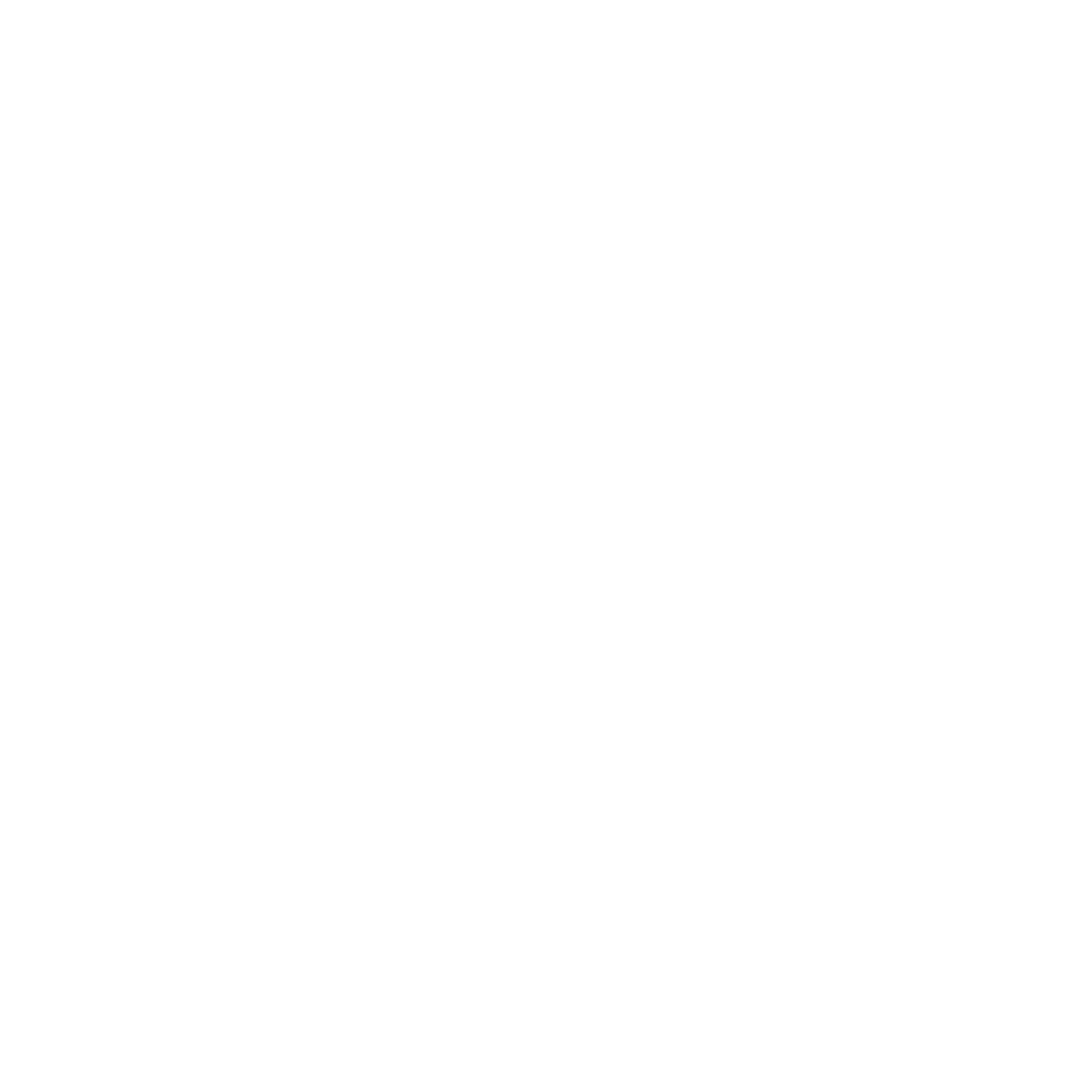 PepsiCo