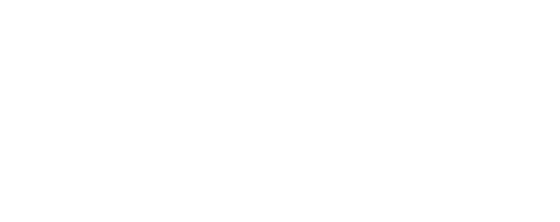 XSEM